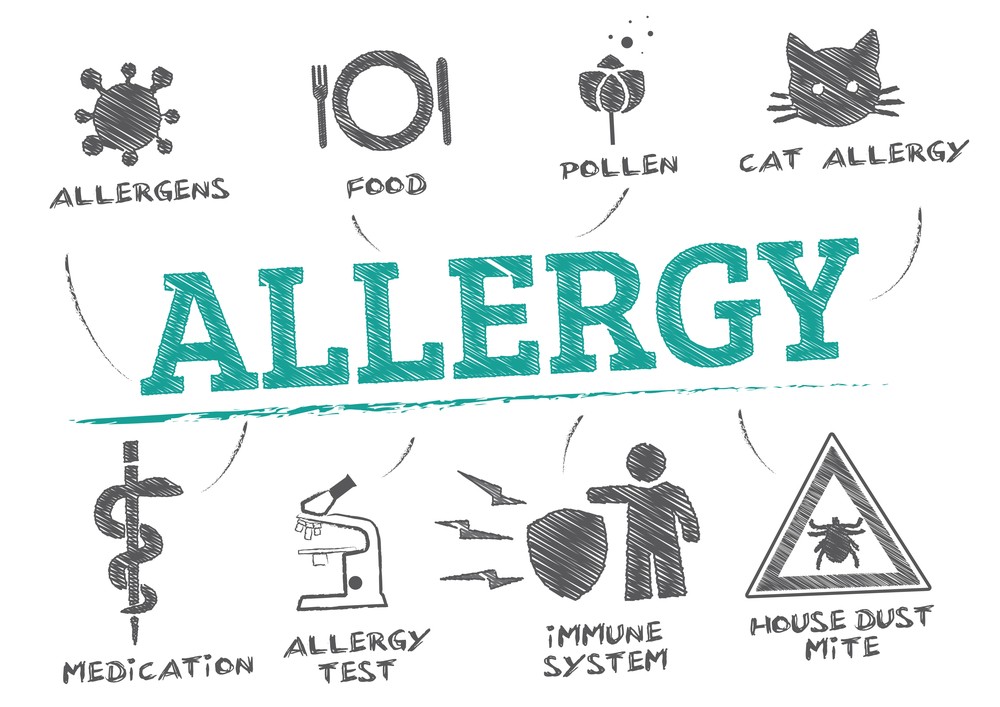 Wyraz alergeny i ich podział na białym tle